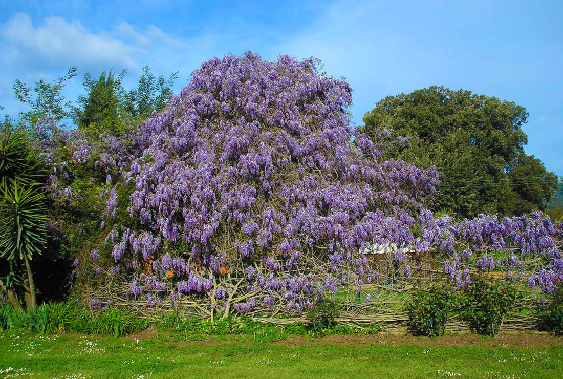 Bed Breakfast Rome Natura Appia